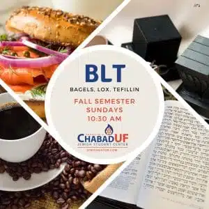 WhatsApp Image 2025-08-22 at 16.14.48